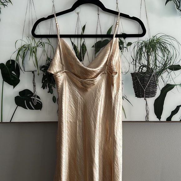 Champagne Dress - Picture 4 of 5